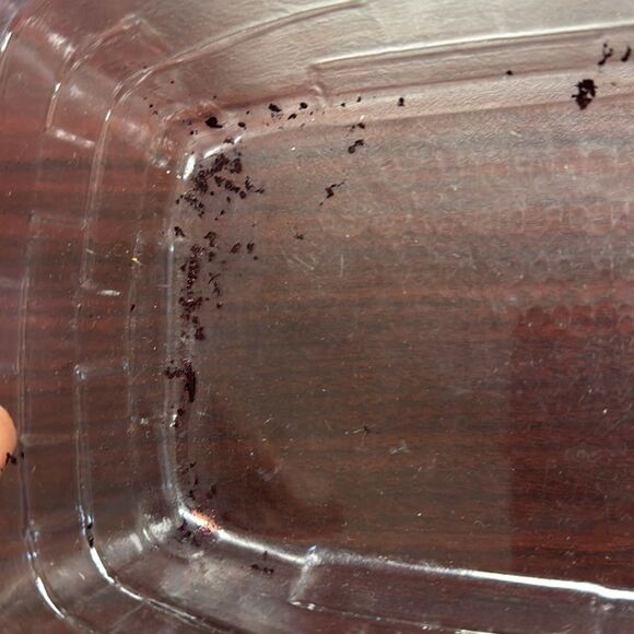 Longaberger Basket with Protector - Picture 6 of 8